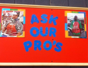 ask our pros
